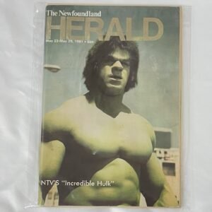 Incredible Hulk - TV Magazine from 1981